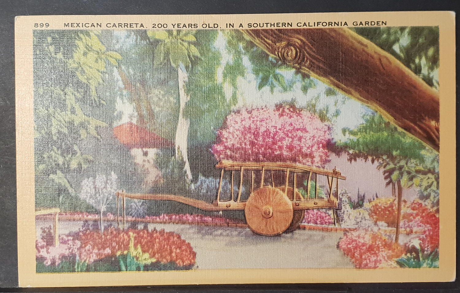 (image for) postcard USA - CA - California #0029